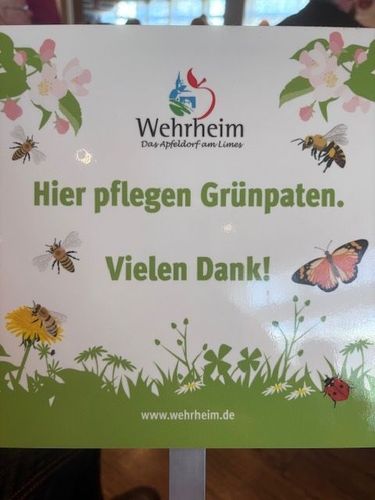 LSC für Grünpatenschaft für den Erlenbach geehrt